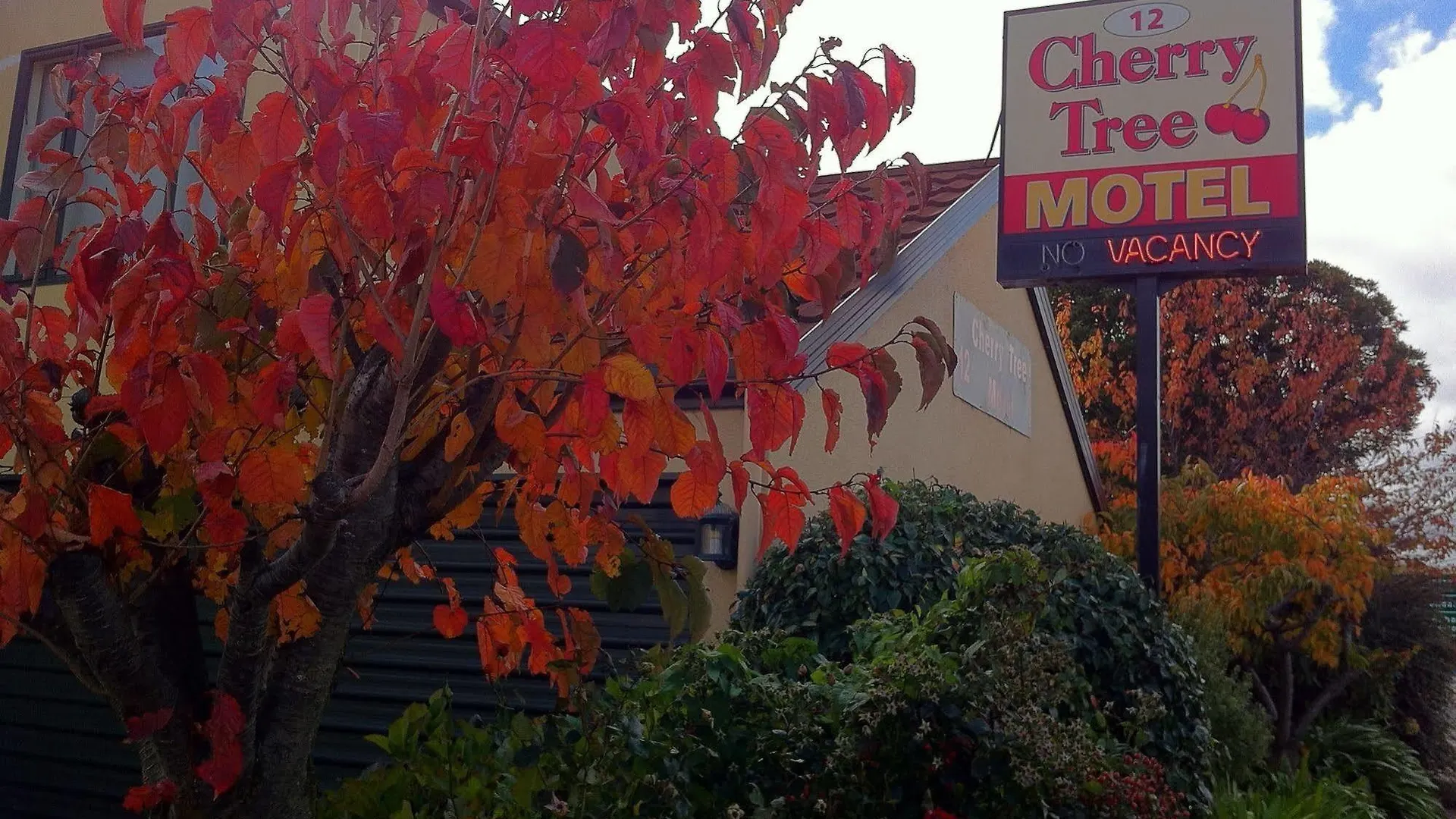 Cherry Tree Lodge Motel Крайстчёрч