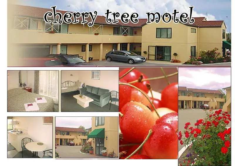 Cherry Tree Lodge Motel Christchurch 3*,